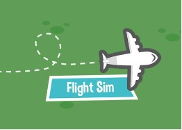 Flight Sim